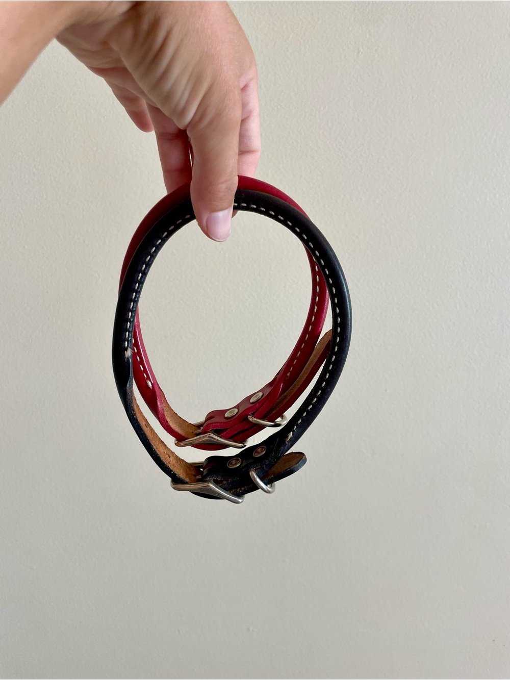 Leather Double Dog Collar - Black & Red